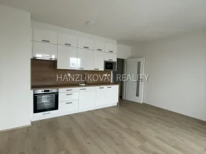 Pronájem bytu 1+kk, České Budějovice, Dobrovodská, 32 m2