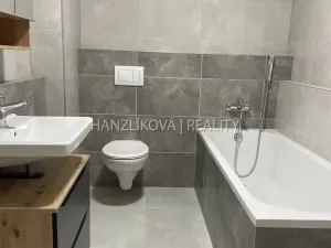 Pronájem bytu 1+kk, České Budějovice, Dobrovodská, 32 m2