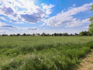 Prodej komerčního pozemku, Plzeň - Doudlevce, 11768 m2