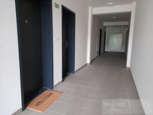 Pronájem bytu 1+kk, Plzeň, Goldscheiderova, 34 m2