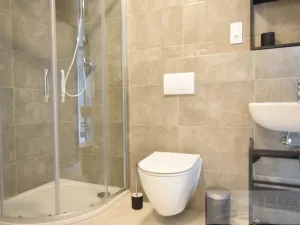 Pronájem bytu 1+kk, Plzeň, Goldscheiderova, 34 m2