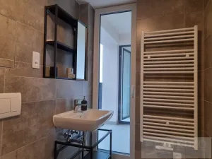 Pronájem bytu 1+kk, Plzeň, Goldscheiderova, 34 m2