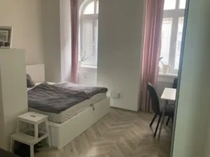 Pronájem bytu 1+kk, Brno - Zábrdovice, Vlhká, 27 m2
