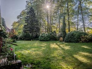 Prodej rodinného domu, Nové Mitrovice, 101 m2