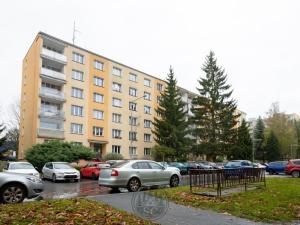 Pronájem bytu 3+1, Sokolov, Švabinského, 66 m2