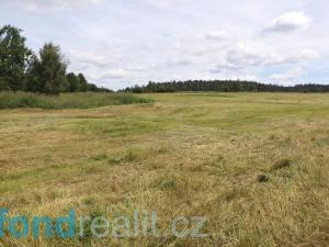 Prodej pozemku, Skořice, 11739 m2