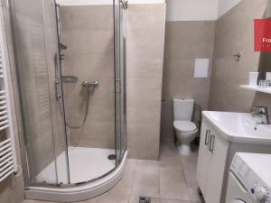 Pronájem bytu 3+kk, Teplice, Vrchlického, 57 m2