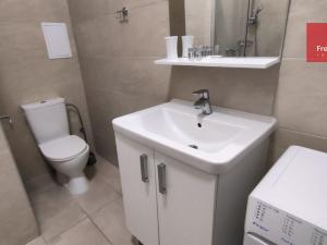 Pronájem bytu 3+kk, Teplice, Vrchlického, 57 m2