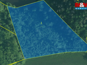 Prodej lesa, Římov - Branišovice, 9271 m2