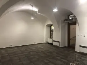 Pronájem obchodního prostoru, Olomouc, Ostružnická, 38 m2