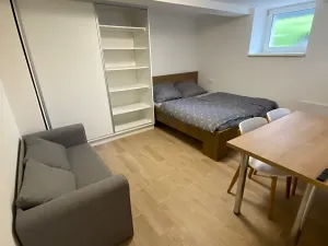 Pronájem bytu 1+kk, Zlín, Štefánikova, 30 m2