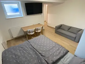 Pronájem bytu 1+kk, Zlín, Štefánikova, 30 m2