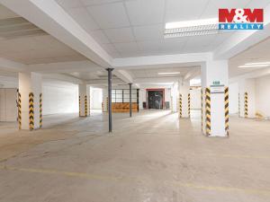 Prodej obchodního prostoru, Kostelec nad Orlicí, Mánesova, 658 m2