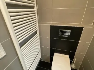 Pronájem bytu 1+kk, Pardubice, Na Spravedlnosti, 36 m2