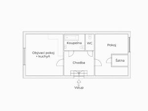 Prodej bytu 2+kk, Praha - Vinohrady, Lucemburská, 57 m2