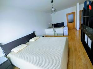 Pronájem bytu 1+kk, Praha - Holešovice, Osadní, 77 m2