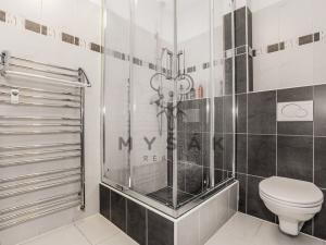 Pronájem bytu 3+kk, České Budějovice - České Budějovice 3, Riegrova, 80 m2