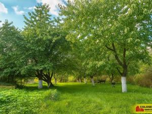 Prodej rodinného domu, Kunštát - Rudka, 138 m2