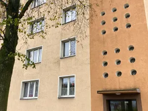 Prodej bytu 2+1, Ostrov, Kollárova, 50 m2