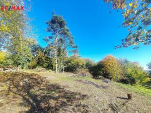 Prodej pozemku, Ostrava, 3646 m2