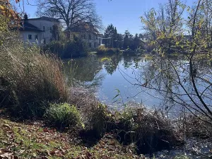 Prodej bytu 2+1, Ostrava, Gustava Klimenta, 60 m2