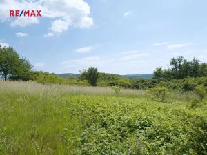 Prodej louky, Štěchovice, 4332 m2