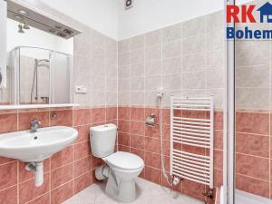 Prodej obchodního prostoru, Mnichovo Hradiště, Masarykovo náměstí, 300 m2