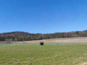 Prodej pozemku pro bydlení, Horažďovice, 2250 m2