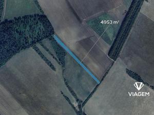 Prodej podílu pole, Malá Vrbka, 3714 m2