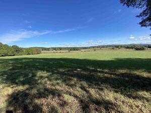 Prodej pole, Nový Rychnov - Čejkov, 7207 m2