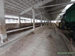 Pronájem zemědělského objektu, Tehovec, Tehovecká, 1700 m2