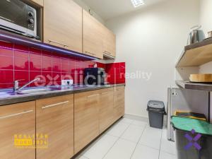 Prodej obchodního prostoru, Uherské Hradiště, Otakarova, 547 m2