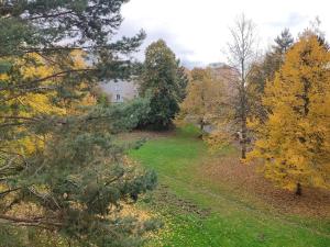 Pronájem bytu 1+kk, Sokolov, Mičurinova, 20 m2