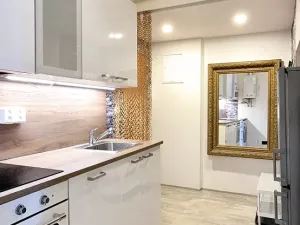 Pronájem bytu 2+1, Praha - Nové Město, Ke Karlovu, 54 m2