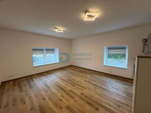 Pronájem bytu 1+kk, Doloplazy, 45 m2