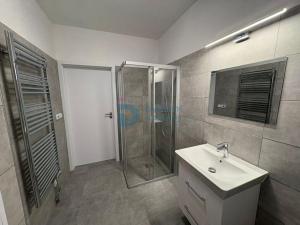 Pronájem bytu 1+kk, Doloplazy, 45 m2