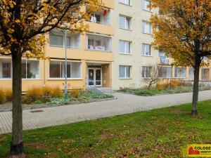 Prodej bytu 1+1, Brno - Královo Pole, 41 m2