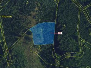 Dražba lesa, Lhota Rapotina, 1938 m2