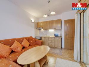 Pronájem bytu 1+kk, Mariánské Lázně - Úšovice, Tepelská, 20 m2