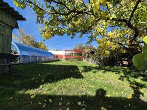 Prodej pozemku pro bydlení, Plzeň, Na Výspě, 253 m2