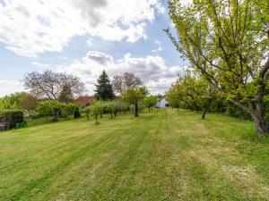 Pronájem chalupy, Dobrovice - Úherce, 180 m2