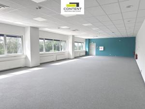 Pronájem skladu, Most - Čepirohy, U Lesíka, 9330 m2