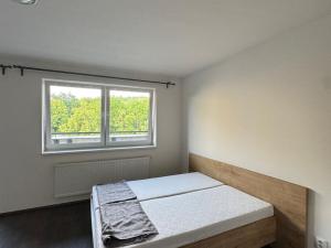 Pronájem bytu 1+kk, Brno, Gajdošova, 46 m2