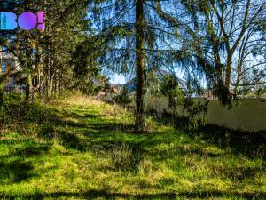 Prodej zahrady, Olomouc - Svatý Kopeček, 1243 m2