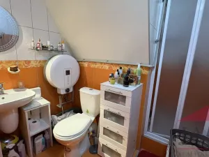 Prodej obchodního prostoru, Sušice - Sušice II, Příkopy, 135 m2