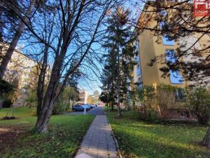 Pronájem bytu 1+1, Olomouc - Nová Ulice, Foerstrova, 35 m2