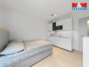 Prodej bytu 1+kk, Praha - Motol, Plzeňská, 28 m2