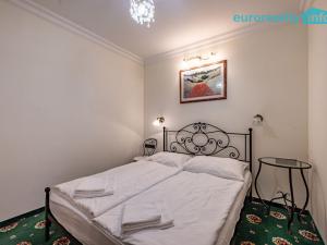 Pronájem apartmánu, Karlovy Vary, Libušina, 325 m2