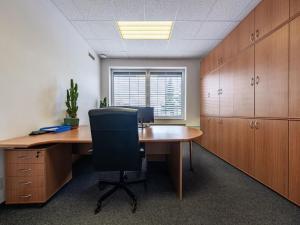 Pronájem obchodního prostoru, Vestec, Vídeňská, 271 m2