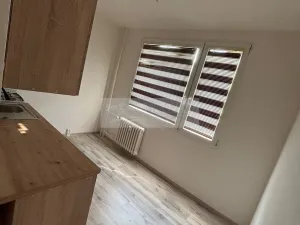 Pronájem bytu 1+1, Chomutov, Holešická, 42 m2